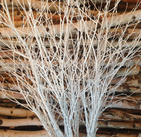 Decorative Branches