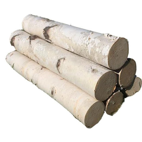 White Birch Fireplace Log Set of Six - Northern Boughs