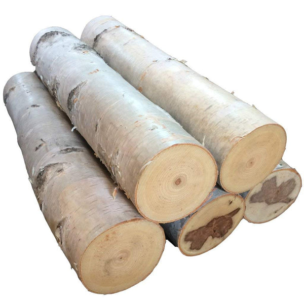 Large Birch Fireplace Log Set of Five - Northern Boughs