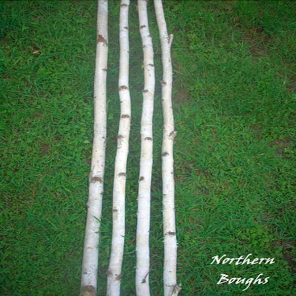 Four Medium White Birch Poles 4 ft - Northern Boughs